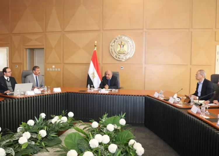 Electricity min. stresses public role in energy savings 11 - Egyptian Gazette