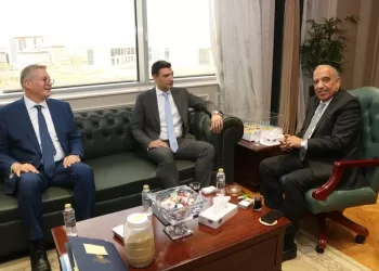 Electricity, petroleum, industry ministers coordinate on energy security