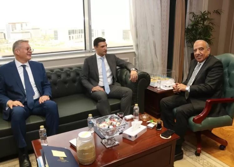 Electricity, petroleum, industry ministers coordinate on energy security 11 - Egyptian Gazette