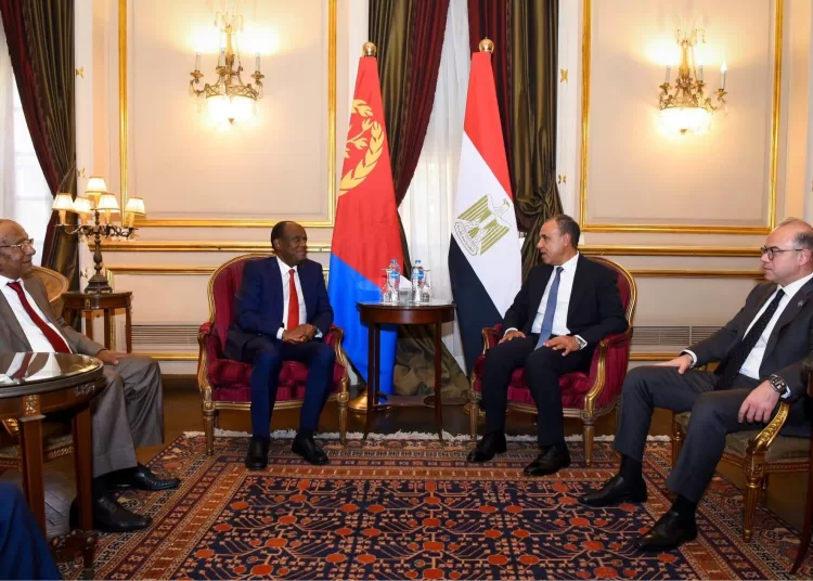 Egypt, Eritrea strengthen economic, trade ties 12 - Egyptian Gazette