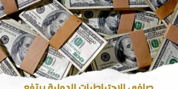 Egypt’s net foreign reserves rise to $52.8b in March 1 - Egyptian Gazette Egypt’s net foreign reserves rise to $52.8b in March