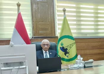 N.Sinai  Governor joins online talks on smart projects