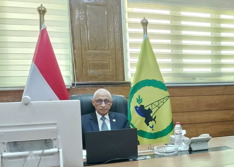 N.Sinai Governor joins online talks on smart projects 11 - Egyptian Gazette