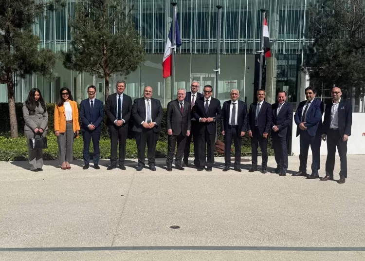 Health Ministry, Servier explore avenues of localising pharma industry in oncology, innovative therapies 11 - Egyptian Gazette