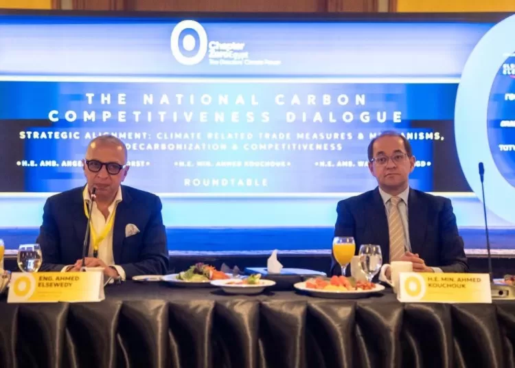 Egypt advancing clean energy transition, expanding renewables 11 - Egyptian Gazette