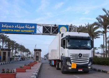 Egypt supports Europe-Gulf trade links via Ro-Ro transit service
