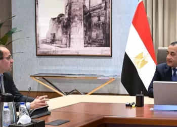 Egypt refines investment strategy after IMF, WB meetings