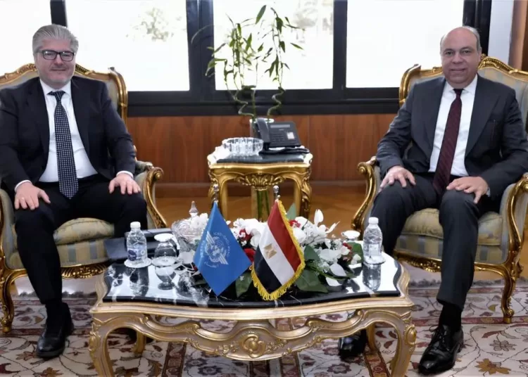 Cairo committed to regional aviation leadership 13 - Egyptian Gazette