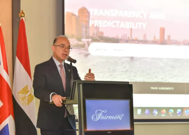 New digital portal marks major step towards streamlining Egypt’s imports, exports 11 - Egyptian Gazette