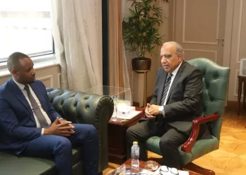 ‘Cairo committed to expanding energy partnerships with African nations’