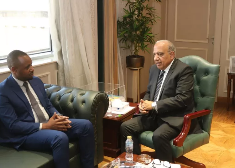 'Cairo committed to expanding energy partnerships with African nations' 10 - Egyptian Gazette