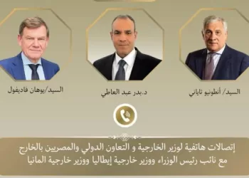 Egypt briefs Italy, Germany on US-Iran ceasefire