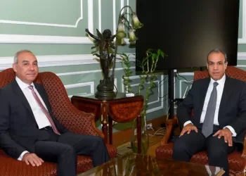 Egypt FM highlights media’s strategic role in countering misinformation