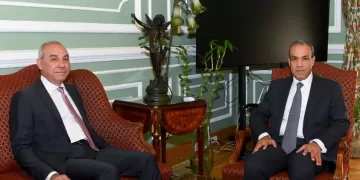 Egypt FM highlights media’s strategic role in countering misinformation