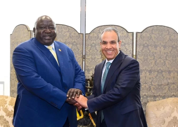 Egypt, Uganda FMs discuss ties, regional developments 11 - Egyptian Gazette