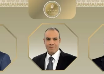 Abdel-Aati discusses regional developments with Witkoff, Barrot