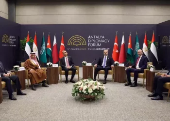 FM reasserts Egypt’s firm stance on Palestinian cause