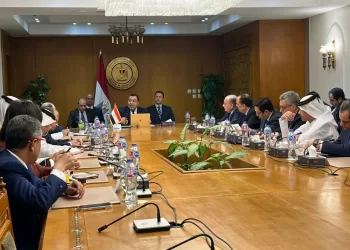 Egypt reaffirms Arab solidarity, urges de-escalation of regional tensions