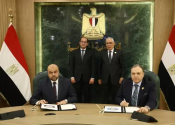 Egypt boosts national revenue through asset management