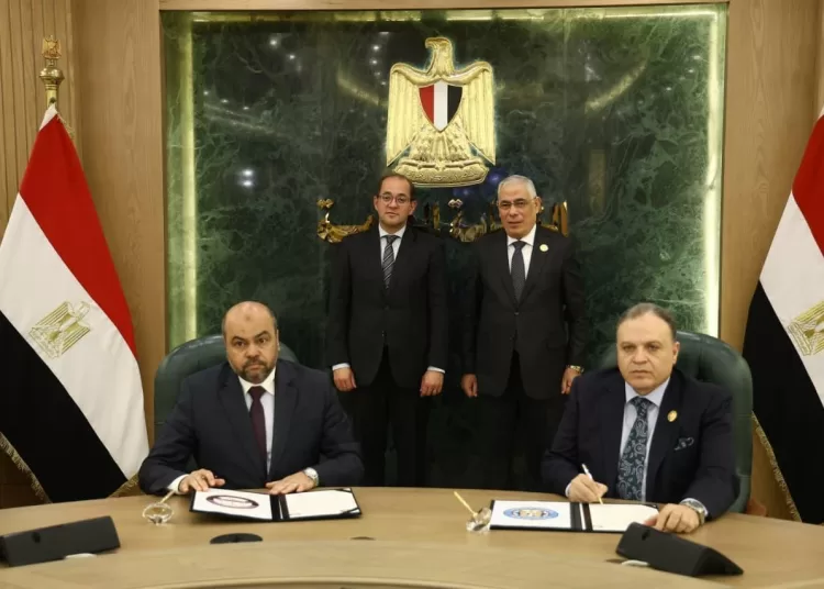 Egypt boosts national revenue through asset management 11 - Egyptian Gazette