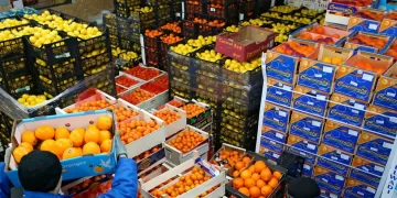 Food authority ramps up checks as exports hit 230,000 tonnes