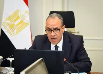 Egyptian FM holds virtual meeting with community in Jordan