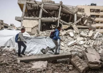Rising heat brings rats, fleas to Gaza’s displaced