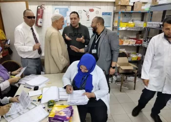 Egypt expands state-funded treatment to primary healthcare units
