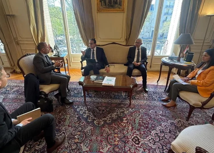 Egypt probes medical co-operation with leading French hospital   12 - Egyptian Gazette