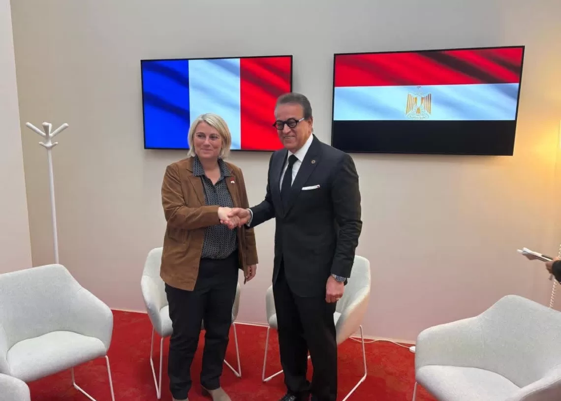 Egypt, France discuss health cooperation at Lyon summit 11 - Egyptian Gazette