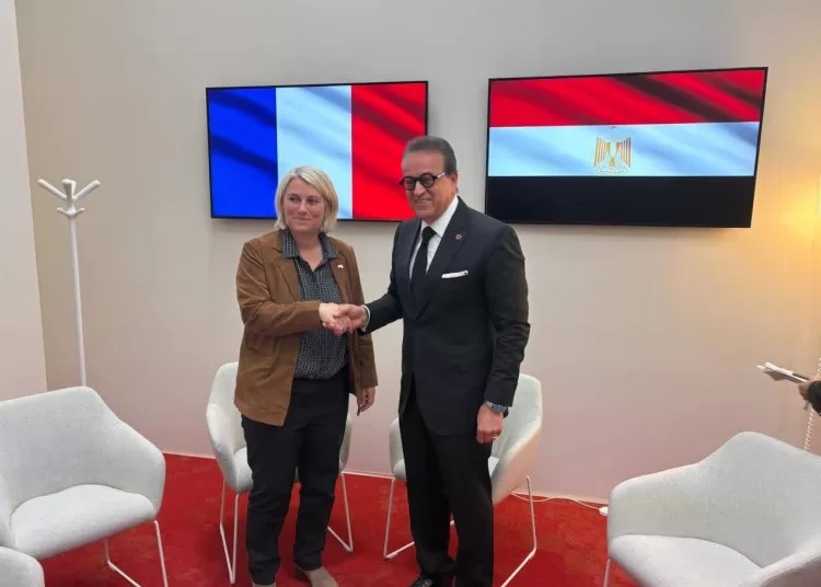 Egypt, France discuss health cooperation at Lyon summit 12 - Egyptian Gazette