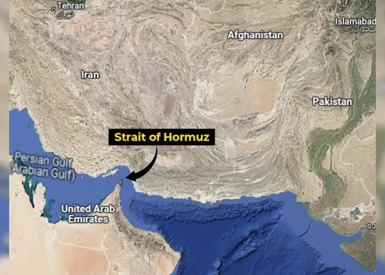 World commodity prices rise for 2nd month on Hormuz closure 13 - Egyptian Gazette World commodity prices rise for 2nd month on Hormuz closure 12 - Egyptian Gazette