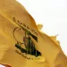 Hezbollah hits Israel’s Ashdod naval base with missiles