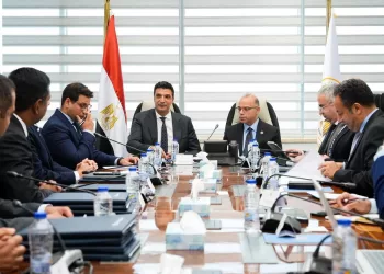 Egypt, France’s Air Liquide to increase investments in industrial gases