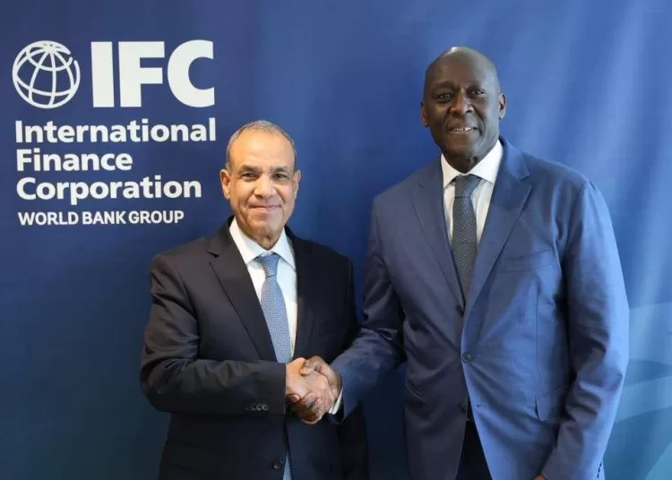 FM meets IFC executive director in Washington 11 - Egyptian Gazette
