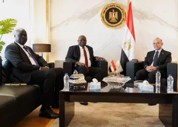 Egypt, South Sudan discuss means to boost investment, trade co-operation