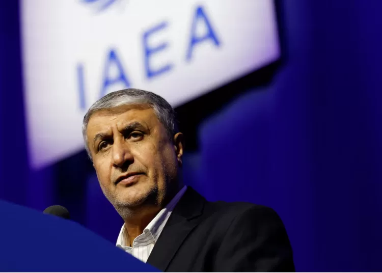 Iran accuses UN nuclear watchdog of inaction 12 - Egyptian Gazette