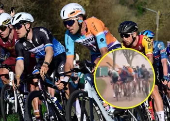 Watts banned for mid-race punch