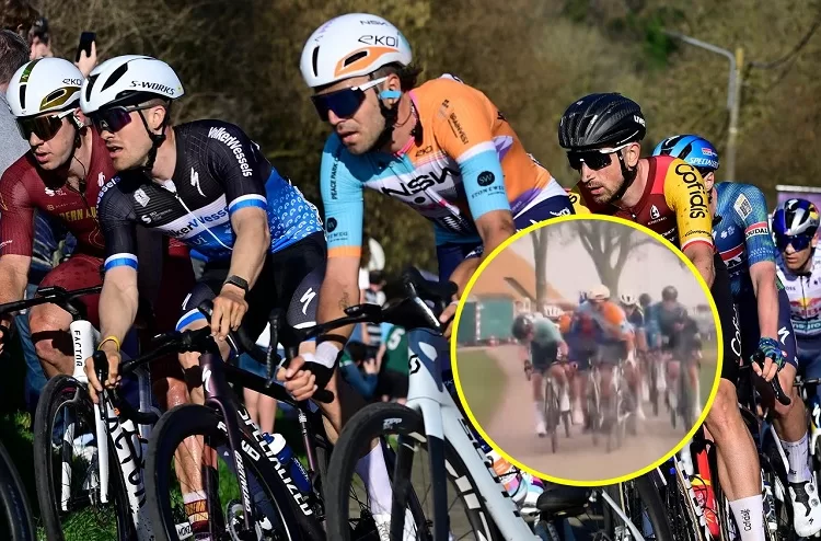 Watts banned for mid-race punch 12 - Egyptian Gazette