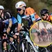 Watts banned for mid-race punch 6 - Egyptian Gazette Watts banned for mid-race punch