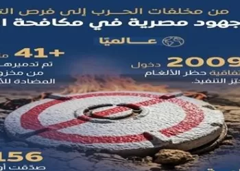 Egypt making great strides to clear landmines