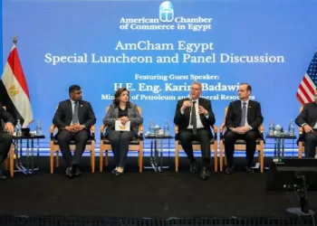 ‘Egypt targets 42% renewable energy share by 2030’