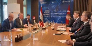 Egypt, Türkiye explore co-operation in mining, energy