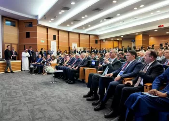 Egypt outlines ambitious mining strategy at OECD Forum in Istanbul