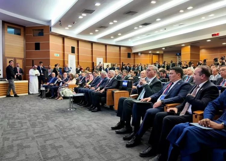 Egypt outlines ambitious mining strategy at OECD Forum in Istanbul 10 - Egyptian Gazette