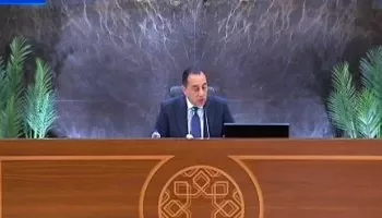 Egypt welcomes ceasefire, urges lasting peace in the region