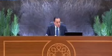 Egypt welcomes ceasefire, urges lasting peace in the region