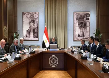 Egypt eyes $2b Chinese aluminum plant in SCZone