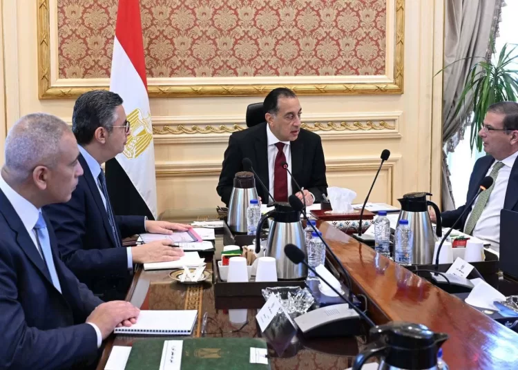 PM Madbouli reviews strategic commodity stocks, wheat procurement 13 - Egyptian Gazette PM Madbouli reviews strategic commodity stocks, wheat procurement 12 - Egyptian Gazette