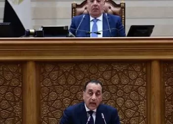 Egypt building economic shields amid prolonged Iran war fears
